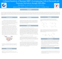 Collateral sensitivity of resistant MRP1-overexpressing cells to flavonoids and ferrocene derivatives through GSH efflux