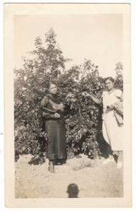 Photographic print of Eunice Jackson and Mamie Maria posing in front of a tree