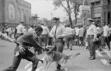 Thumbnail for Police dog attacking Walter Gadsden, a student at Parker High School, during a civil rights demonstration in downtown Birmingham, Alabama.