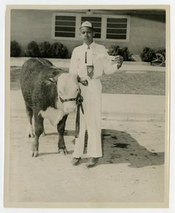 Boy with a Cow