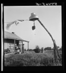 [Untitled photo, possibly related to: Negro farm family near Greensboro, Alabama who are participants in a FSA (Farm Security Administration) dairy co-op]