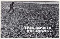 This Land is Our Land