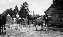 Scene. Farm yard, Negro house. Every boy has a pet animal