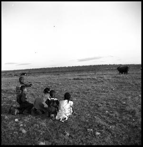 Children Watching Cattle