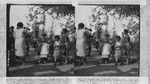 Nigrito natives Planting Rice by their Primitive methods, Philippine Village. St. Louis World's Fair