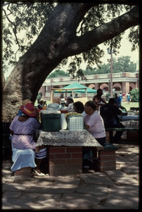 Saint Simons Island, Georgia: probably the 1987 Sea Island Festival