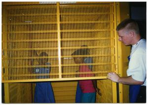 Girls in Yellow Cage