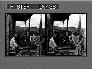 Come Sebem, Come 'Lebem. [Caption no. 5003 : stereo photonegative]