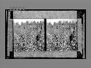 Away down among the cotton and the coons, La. [Caption no. 5753 : glass stereo interpositive]