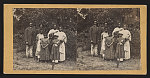 Group of scholars on St. Helena Is., SC, No. 1