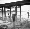 Mississippi River Flood
