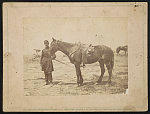 [Major William M. Maynadier of 1st Regular Army Light Artillery Regiment and his horse]