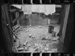 Negro slum backyard, Washington, D.C.