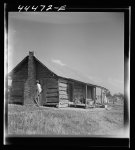 [Untitled photo, possibly related to: Home of a Negro farm family near Greensboro, Alabama]