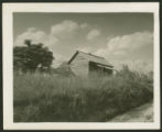 Cotton house near Highway 21 in S.C.