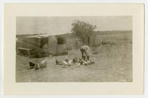 Woman with Chickens