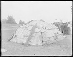 Birchbark hut constructed on the fair grounds at St Louis, Mi 1904