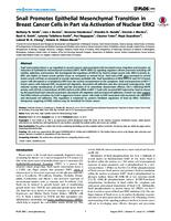 Snail Promotes Epithelial Mesenchymal Transition in Breast Cancer Cells in Part via Activation of Nuclear ERK2
