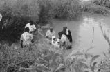 Gospel Singing and Churches: Greenwood, Miss. Outdoor baptism (GCP J-68 #570)