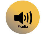 Audio recording clip of interview with Paul Pradia by Claytee D. White, July 13, 2010