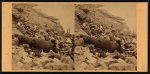 Outside view of Fort Sumter, March, 1865. Foot of slope on southwestern front, looking S.E.