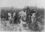 Dewberry pickers, near Southern Pines, N.C.