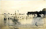 River Baptism, New Bern, N.C.