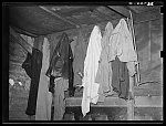 Clothes of Negro sharecropper's family. Near Marshall, Texas