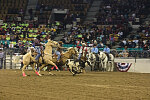 Bull-dogging at the Martin Luther King, Jr., African-American Heritage Rodeo, one of the National Western Stock Show events in Denver, Colorado