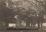 Hermitage Plantation; Slave Quarters