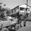 Phillip Edmonds delivering the Birmingham News in a mule-drawn wagon in Bessemer, Alabama.