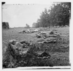 [Gettysburg, Pa. Confederate dead gathered for burial at the edge of the Rose woods, July 5, 1863]