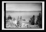 Picturesque views of Mt. Hermon &amp; the Lake. Sea of Galilee &amp; Mt. Hermon, with chrysanthemums &amp; boats near shore