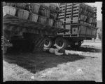 This Negro trucker has been waiting since dawn to deliver his tomatoes to the Phillips Packing Company in Cambridge, Maryland