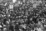 Demonstration, Los Angeles, 1983