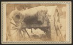 [Cannon mounted in the camp of Duryea's and Bainbridge's Batteries, 15th Arkansas Confederate Infantry, Port Hudson, Louisiana]