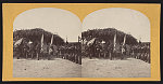 [Soldiers from the 134th Illinois Volunteer Infantry in front of tent at Columbus, Kentucky holding flags and rifles]