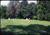 Beth Salem Presbyterian Church: alternate view of cemetery