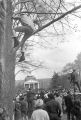 Man sitting on a tree branch above the crowd on the campus of Morehouse College during a funeral service for Martin Luther King, Jr.