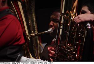 Musician Performing with Orchestra