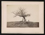 A lone grave on battle-field of Antietam