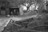 Children inside a backyard shed.