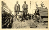 Two Men Stand With Hunting Dogs