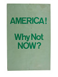 Protest poster, "America Why Not Now?"