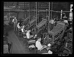 Linotype operators of the Chicago Defender, Negro newspaper. Chicago, Illinois