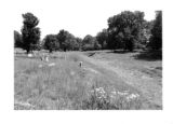 Mt. Olivet Cemetery: tombstones and grass path