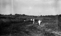 Home and farm of "Potato" Moore in Garland County near Hot Springs