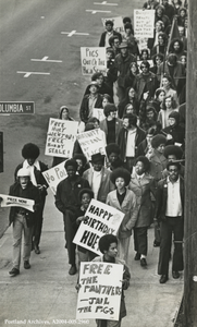 Black Panthers demonstration