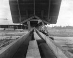 Worker supervising a conveyor belt moving planks at the W. L. Holt Lumber Company.