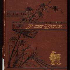 In the brush ; or, Old-time social, political, and religious life in the Southwest